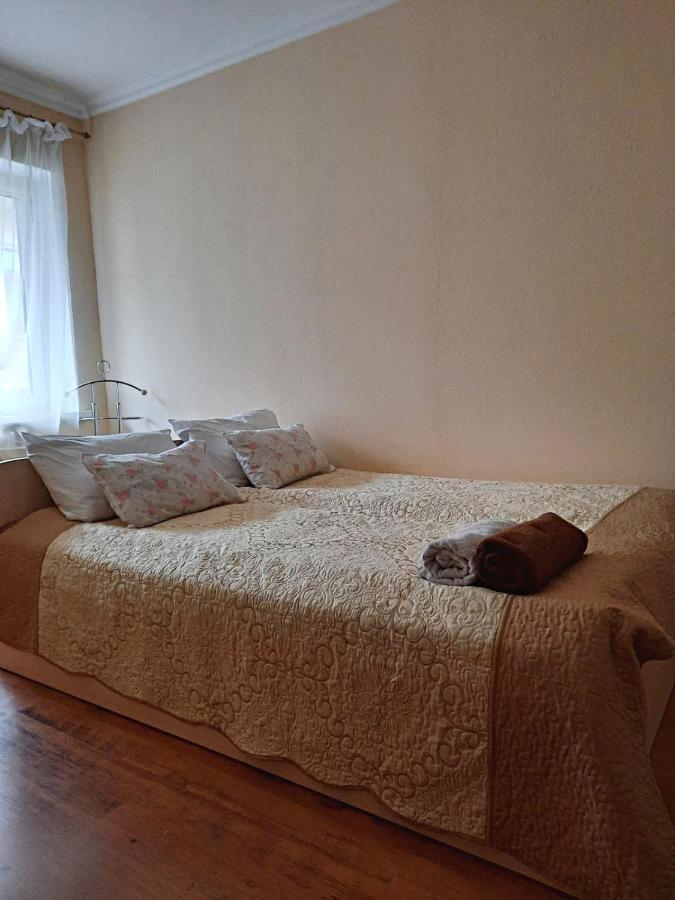Apartment In The Historical City Center 切尔诺夫策 外观 照片