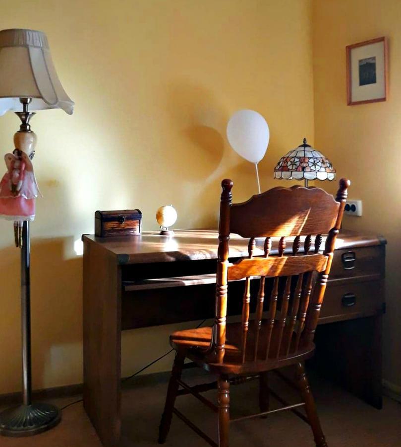 Apartment In The Historical City Center 切尔诺夫策 外观 照片